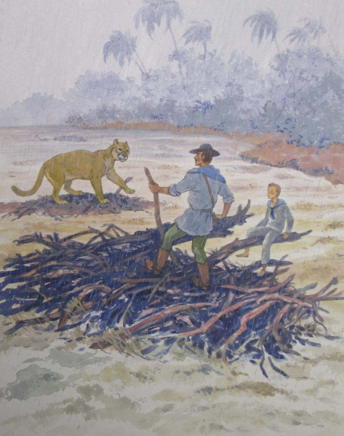 Луи Буссенар "Кругосветное путешествие юного парижанина" 20