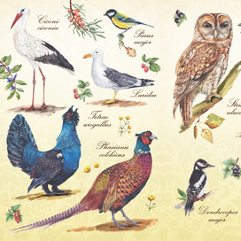 Cover of a sketchbook