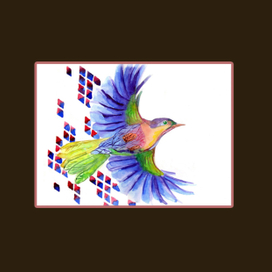 Птица Морей