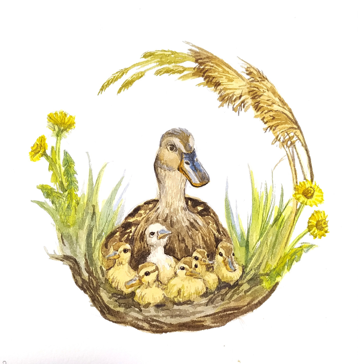 Гадкий утенок