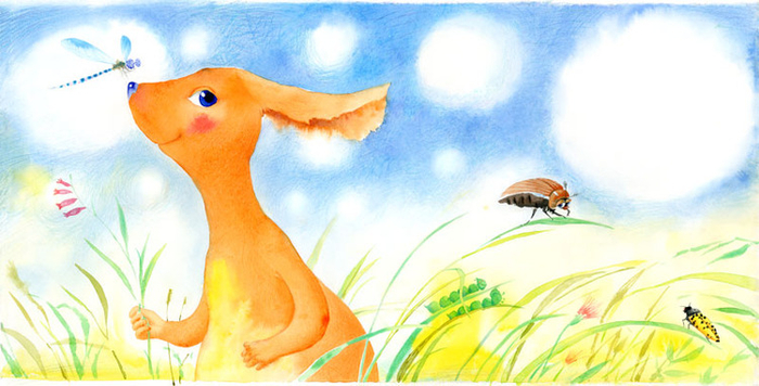 к "Кенгуренку Бамси"