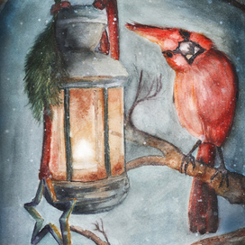 Красный кардинал