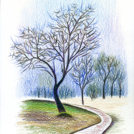 Дерево и дорожка в парке