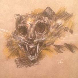 Уси-пуси дохлый котик