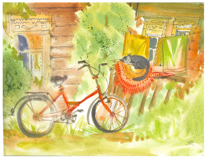 Солнечный день