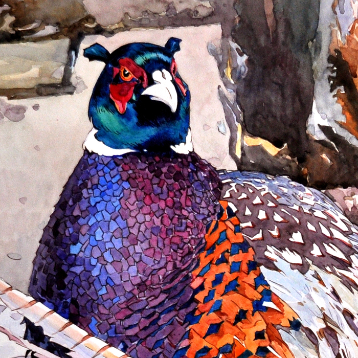 Фазаны (фрагмент) Pheasants