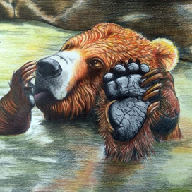 Водные процедуры