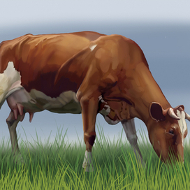 корова на лугу