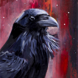 Черный ворон