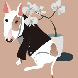 Бультерьер