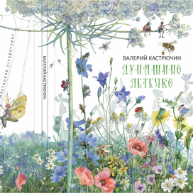 Валерий Кастрючин Дуняшино летечко