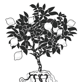 Лимонное дерево