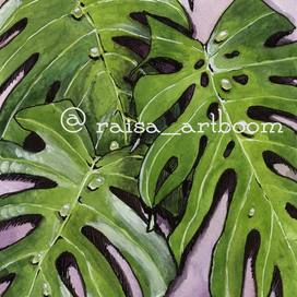 Травы (МОНСТЕРА)