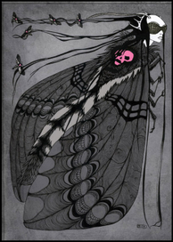 королева бабочка