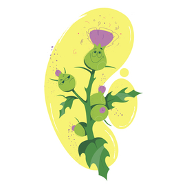 чертополох