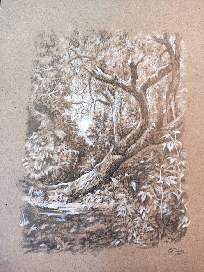 Ростовская балка