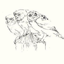 быстрый скетч