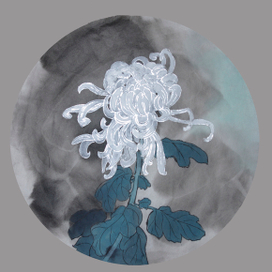 Хризантема