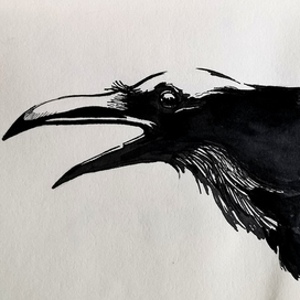 Ворон