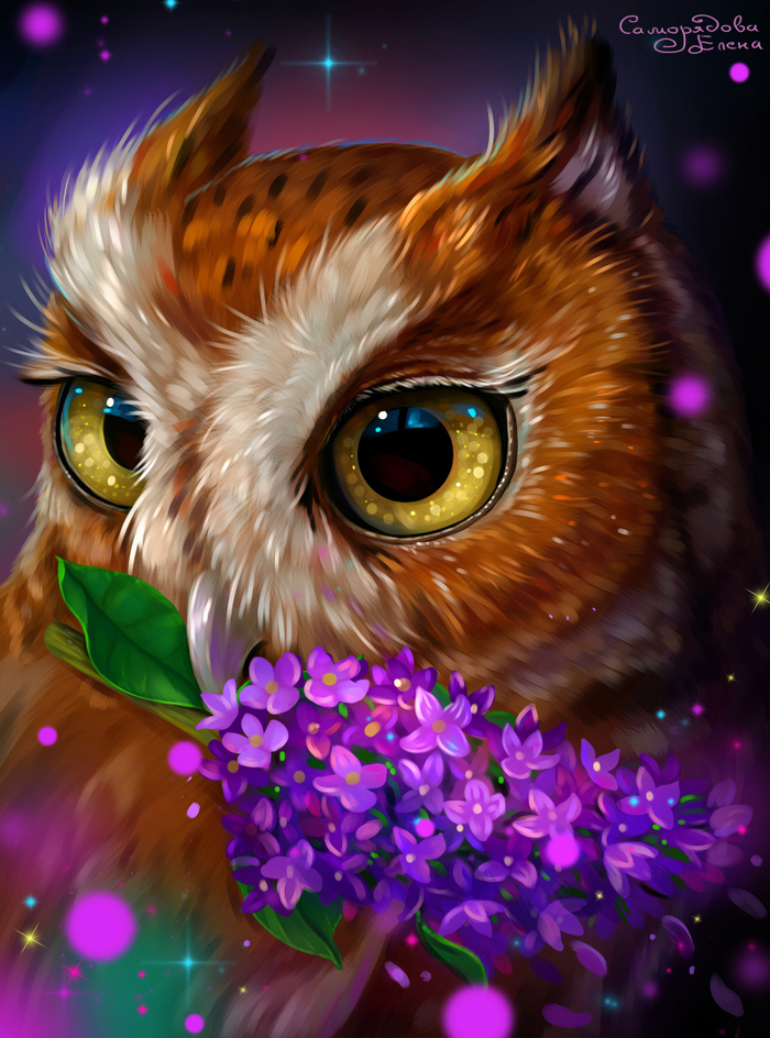 Сова и сирень 
