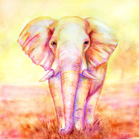 Радужный слон