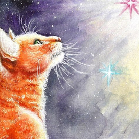 Красная звезда