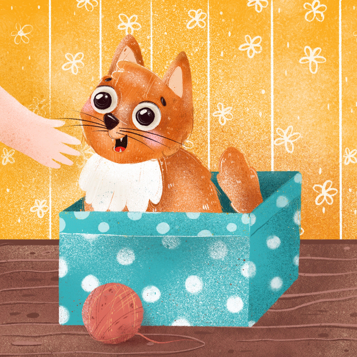 Котик в коробке