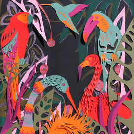 Райские птички