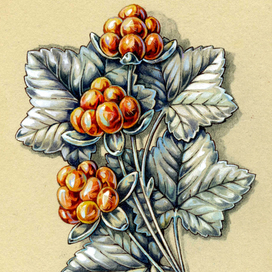 Эскиз броши "МОРОШКА"