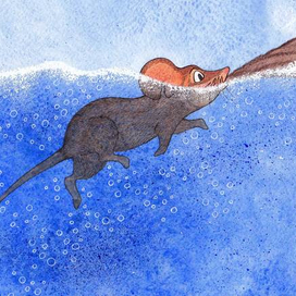 Мышонок Пик. Иллюстрации для учебника.