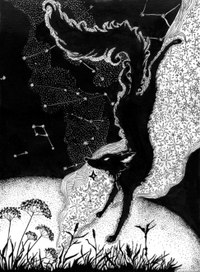 Звездный Лис