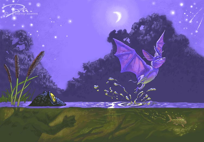 летучая мышь 2