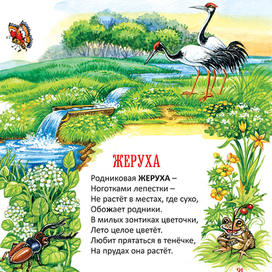 Иллюстрация к "Овощной азбуке" Людмилы Соломиной