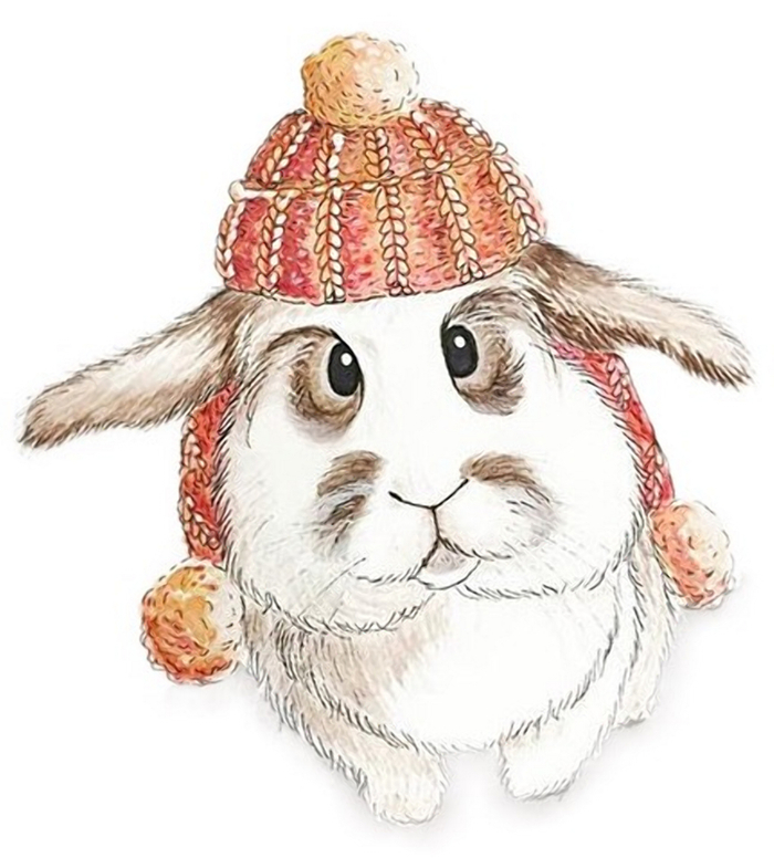 Заяц в шапке