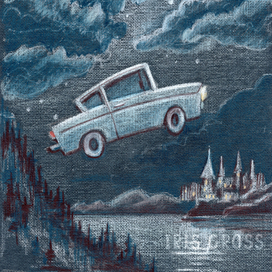 Серия иллюстраций по вселенной Гарри Поттера