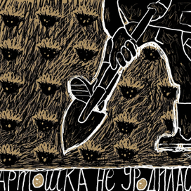 Картошка не уродилась