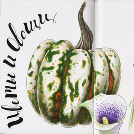 ботаническая иллюстрация