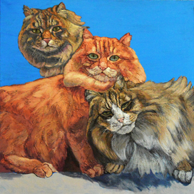 Дворовые коты