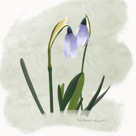 Подснежники