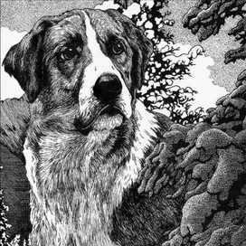 Зов предков. Обложка