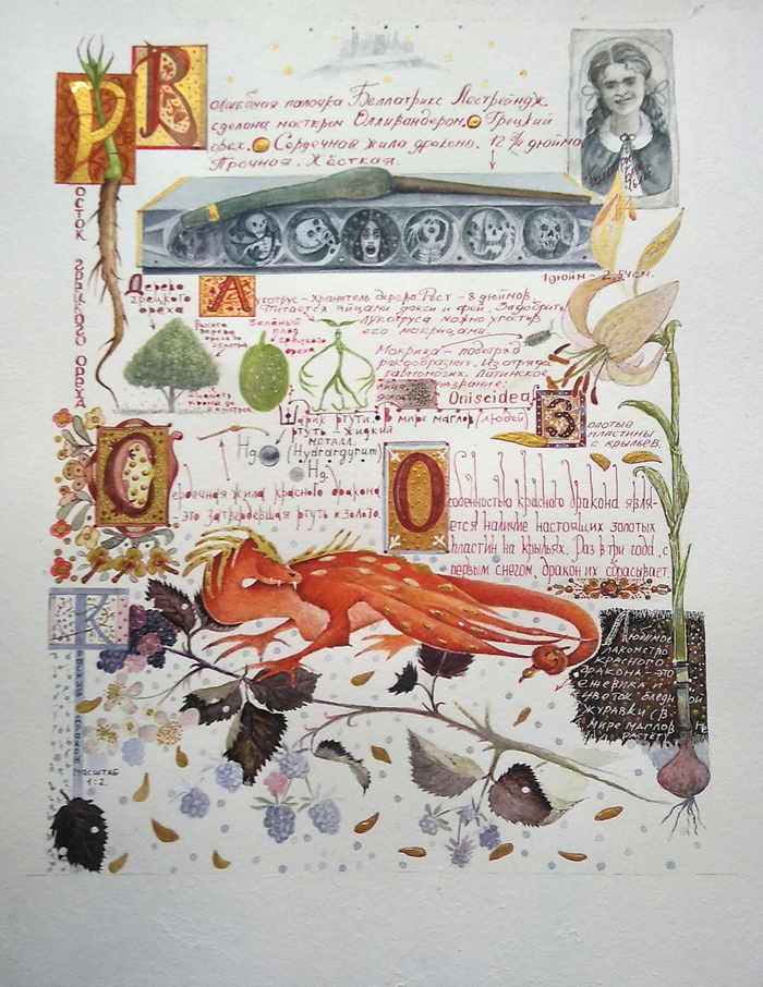 Гарри Поттер