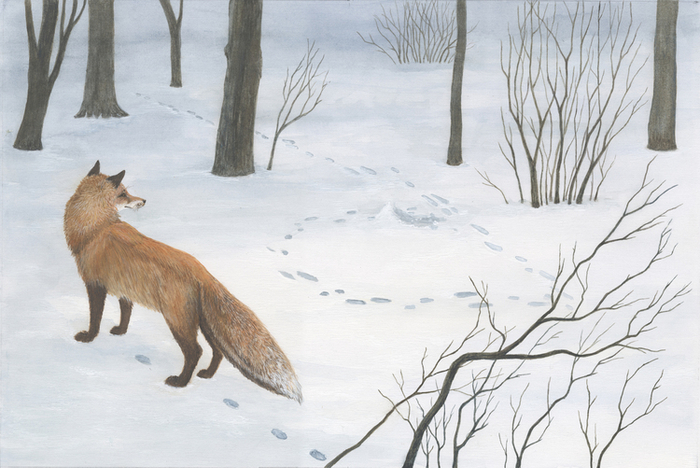 Снежная книга