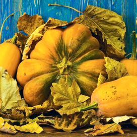 Осенний натюрморт с тыквами