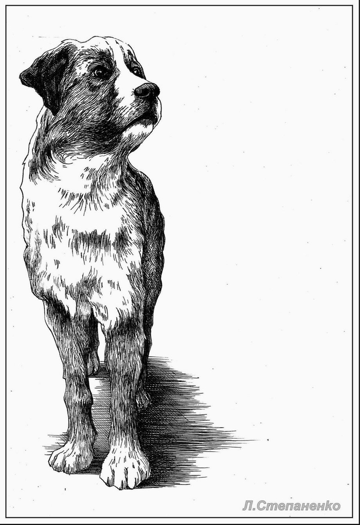 Бэк. Просто Бэк