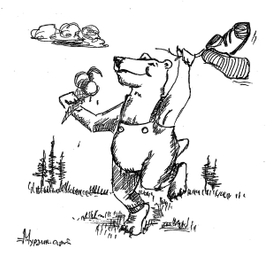 26 мая - День прогулок босиком