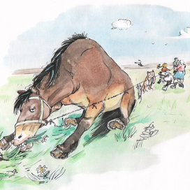 Репка. Предыстория