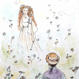 Ромашковое поле