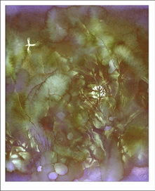 "Птица Счастье завтрашнего дня" из серии "Лес"