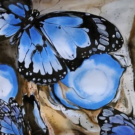 голубые бабочки