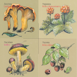 растения Сибири